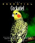 Essential Cockatiel