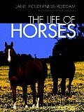 Life Of Horses