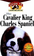 Cavalier King Charles Spaniel An Owners