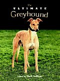 Ultimate Greyhound