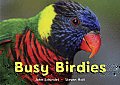 Busy Birdies