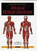 Atlas Of Human Anatomy