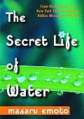 Secret Life Of Water