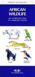 Africa Birds: A Folding Pocket Guide to Familiar Species