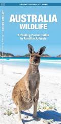 Pocket Naturalist Australian Wildlife