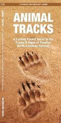 Animal Tracks an Introduction to the Tracks & Signs of Familiar North American Species
