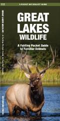 Great Lakes Wildlife: A Folding Pocket Guide to Familiar Animals