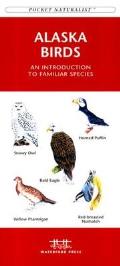 Rocky Mountain Birds: An Introduction to Familiar Species