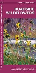 Roadside Wildflowers: An Introduction to Familiar North American Species