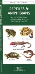 Bugs & Slugs an Introduction to Familiar North American Invertebrates