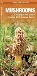 Mushrooms An Introduction to Familiar North American Species