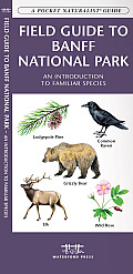 Field Guide to Banff National Park: A Folding Pocket Guide to Familiar Plants & Animals