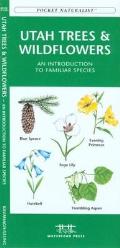 Oregon Trees & Wildflowers An Introduction to Familiar Species of Trees Shrubs & Wildflowers