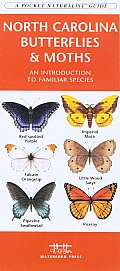 North Carolina Butterflies & Moths: A Folding Pocket Guide to Familiar Species