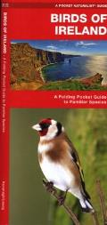 Birds of Ireland An Introduction to Familiar Species