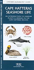 Cape Hatteras Seashore Life: A Folding Pocket Guide to Familiar Plants & Animals in the Cape Hatteras Region