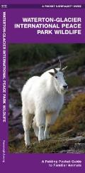 Waterton-Glacier International Peace Park Wildlife: A Folding Pocket Guide to Familiar Animals