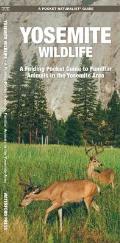 Yosemite Wildlife: A Folding Pocket Guide to Familiar Animals in the Yosemite Area