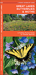 Great Lakes Butterflies & Moths An Introduction to Familiar Species