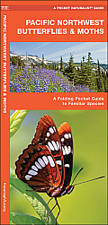 Pacific Northwest Butterflies & Moths An Introduction to Familiar Species