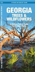Georgia Trees & Wildflowers: A Folding Pocket Guide to Familiar Plants