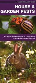 House & Garden Pests How to Organically Control Common Invasive Species