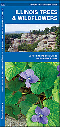 Illinois Trees & Wildflowers: A Folding Pocket Guide to Familiar Plants