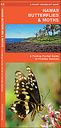 Hawaii Butterflies & Moths: A Folding Pocket Guide to Familiar Species