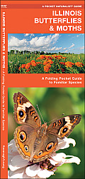Illinois Butterflies & Moths An Introduction to Familiar Species