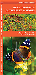 Massachusetts Butterflies & Moths: A Folding Pocket Guide to Familiar Species
