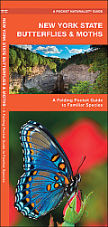 New York State Butterflies & Moths: A Folding Pocket Guide to Familiar Species