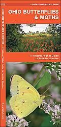 Ohio Butterflies & Moths: A Folding Pocket Guide to Familiar Species