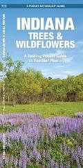 Indiana Trees & Wildflowers: A Folding Pocket Guide to Familiar Plants