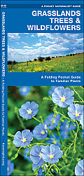 Grasslands Trees & Wildflowers: A Folding Pocket Guide to Familiar Species