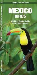Mexico Birds: A Folding Pocket Guide to Familiar Species