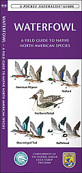 Waterfowl An Introduction to Familiar Plants & Animals in the Area