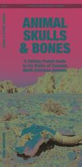 Animal Skulls & Bones Laminated: A Laminated Folding Guide to the Bones of Common North American Animals