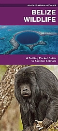 Belize Wildlife: A Folding Pocket Guide to Familiar Animals