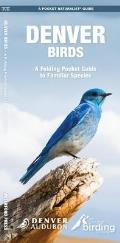 Denver Birds: A Folding Pocket Guide to Familiar Species