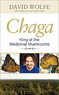 Chaga King of the Medicinal Mushrooms
