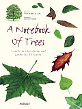 Notebook of Trees A Guide to Identifying & Gathering 35 Leaves