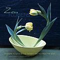 Zen Flowers Designs to Soothe the Senses & Nourish the Soul
