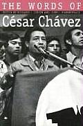 The Words Of Cesar Chavez