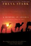 Winter In Arabia