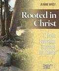 Rooted in Christ: 12 Faith Formation Sessions for Adults