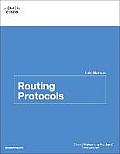Routing Protocols Lab Manual