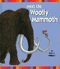 Meet the Woolly Mammoth