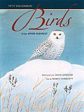 Fifty Uncommon Birds of the Upper Midwest