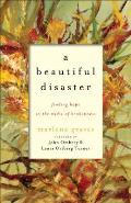 A Beautiful Disaster: Finding Hope in the Midst of Brokenness