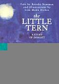 Little Tern A Story Of Insight